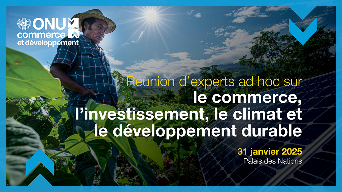 Réunion d'experts ad hoc sur le commerce, l'investissement, le climat et le développement durable