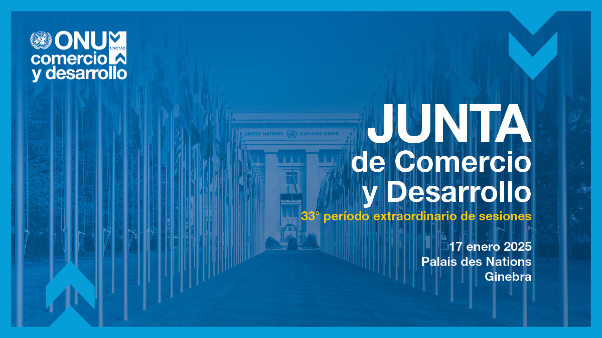 Junta de Comercio y Desarrollo, 33º período extraordinario de sesiones