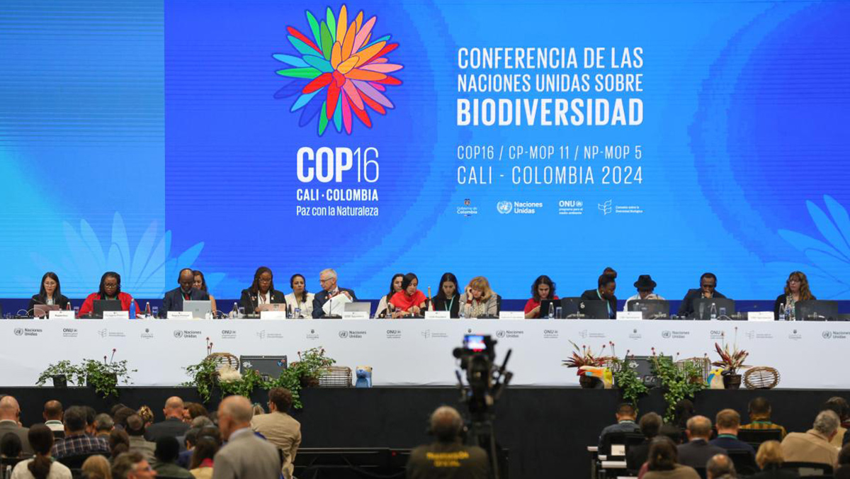 Briefing on achieving biodiversity goals through trade