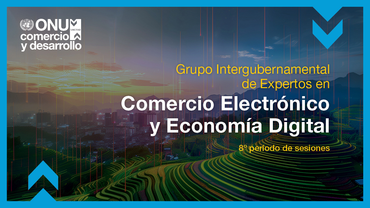 Grupo Intergubernamental de Expertos en Comercio Electrónico y Economía Digital, 8º período de sesiones
