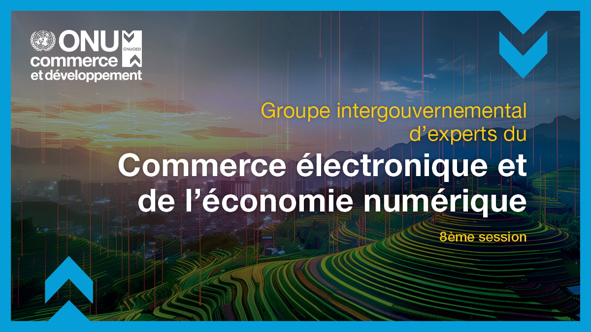 Groupe intergouvernemental d’experts du commerce électronique et de l’économie numérique, 8e session