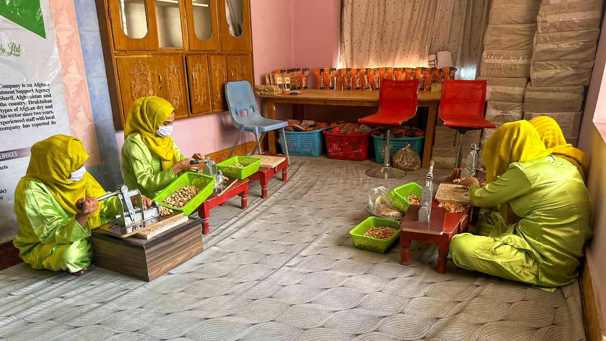 A dry fruit processing business led by a woman entrepreneur in Afghanistan’s Balkh Province.