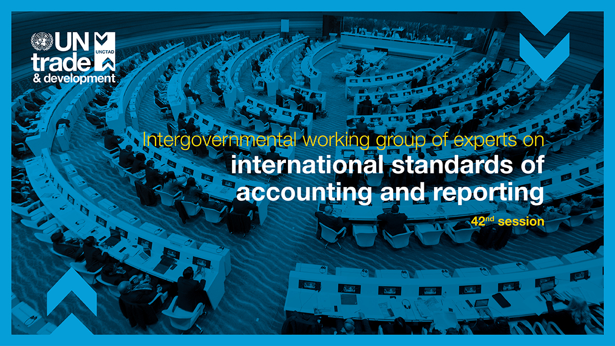 Intergovernmental working group of experts on international standards of accounting and reporting, 42nd session