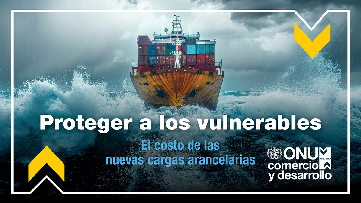 Cover image for Proteger a los vulnerables: el costo de las nuevas cargas arancelarias