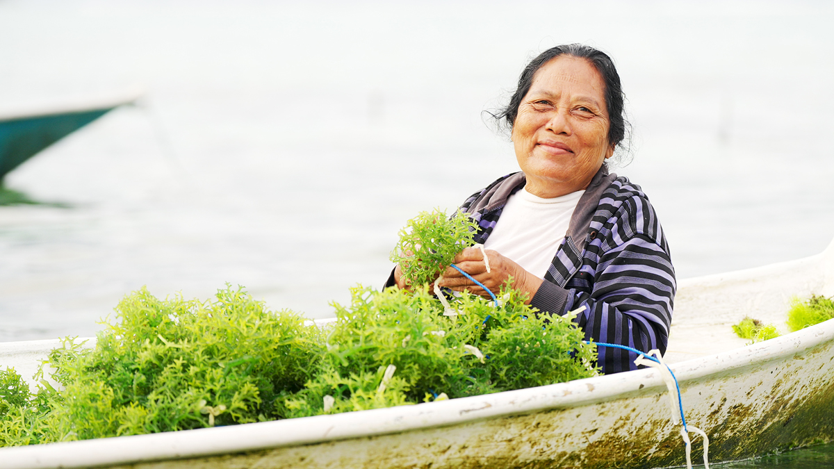 Side event at the HLPF 2025: Supporting seaweeds and their myriad contributions to advancing sustainable, inclusive, science- and evidence-based solutions for the 2030 Agenda and beyond
