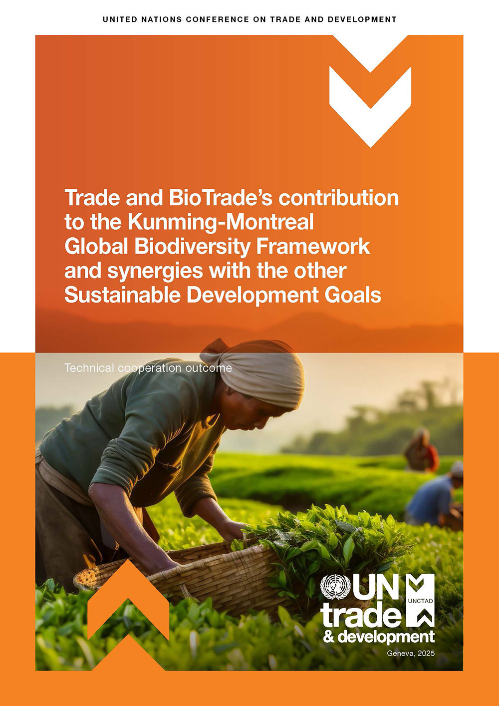 Publication cover image