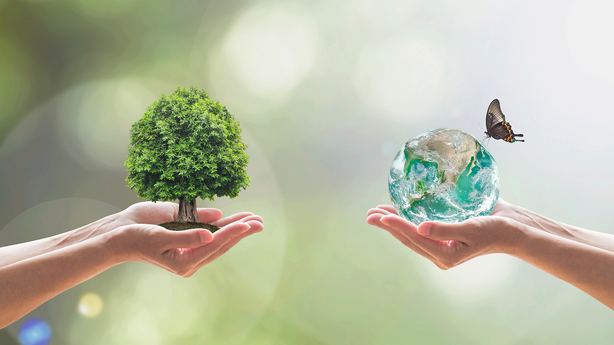 Shaping the Future: Global Energy Investment Ecosystem for Sustainable Development