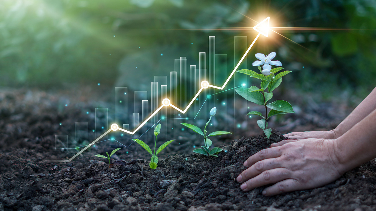 Sixth meeting of the informal Working Group on trade and biodiversity statistics