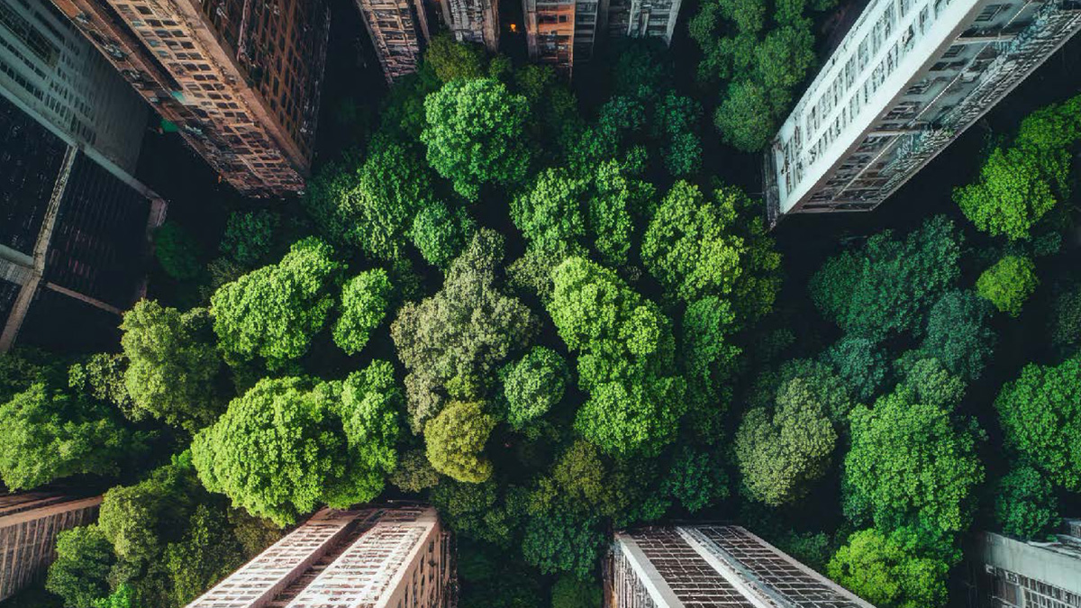 Report launch (China): Global sustainable finance: trends, challenges and opportunities