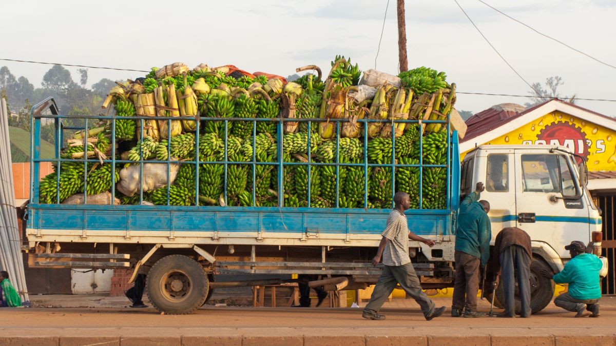A truck carrying bananas from Kampala, Uganda, a landlocked nation.