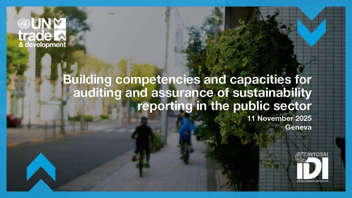 Building competencies and capacities for auditing