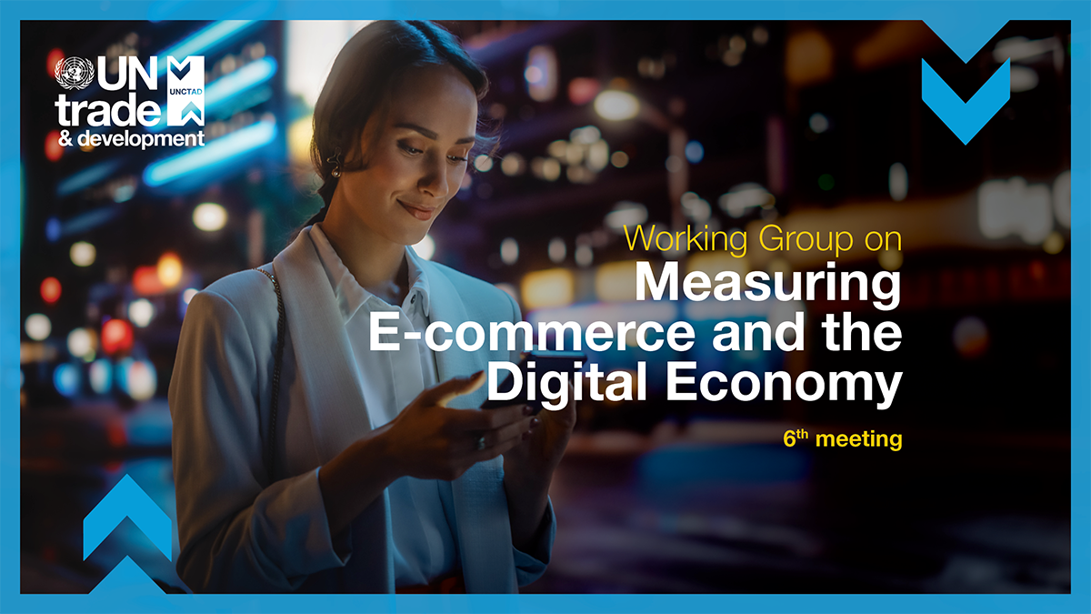 Working group on measuring e-commerce and the digital economy, 6th meeting