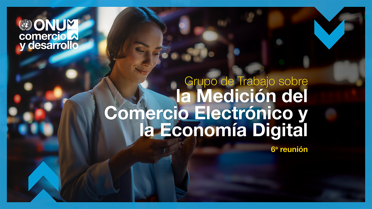 Working group on measuring e-commerce and the digital economy, 6th meeting