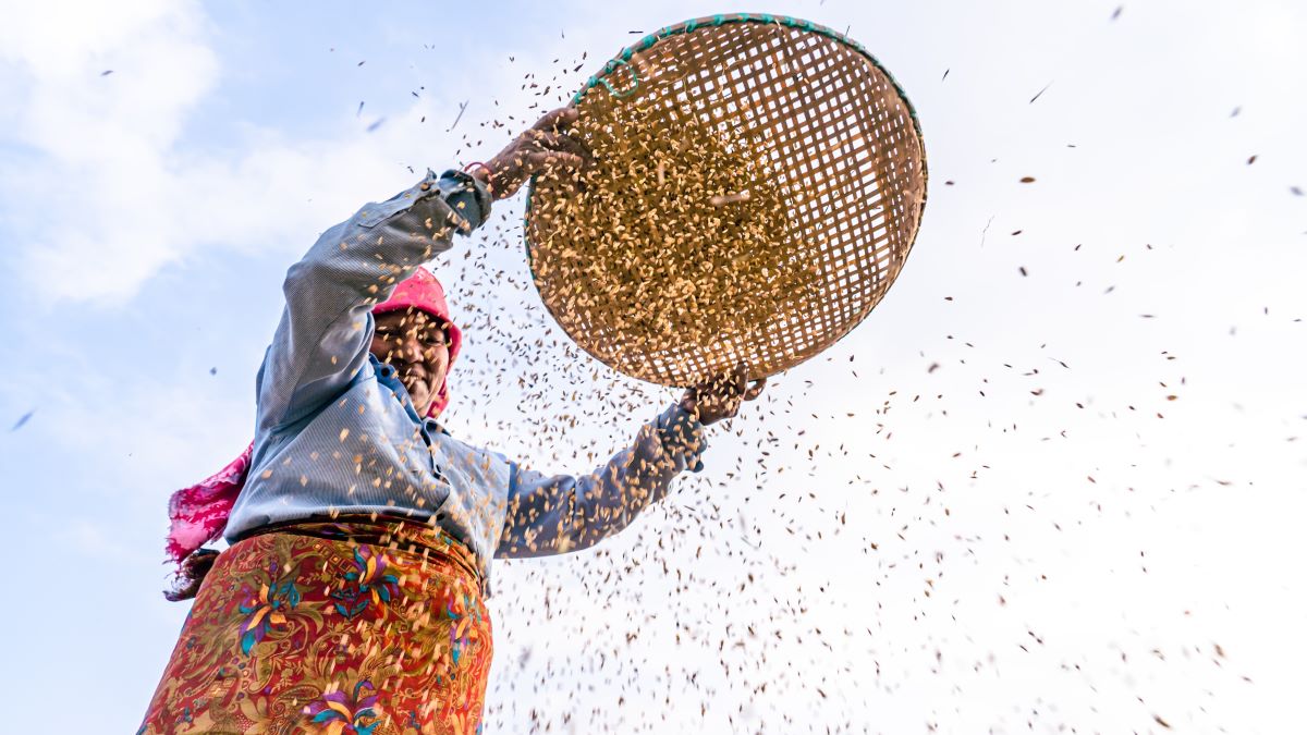 A small farmer in Nepal