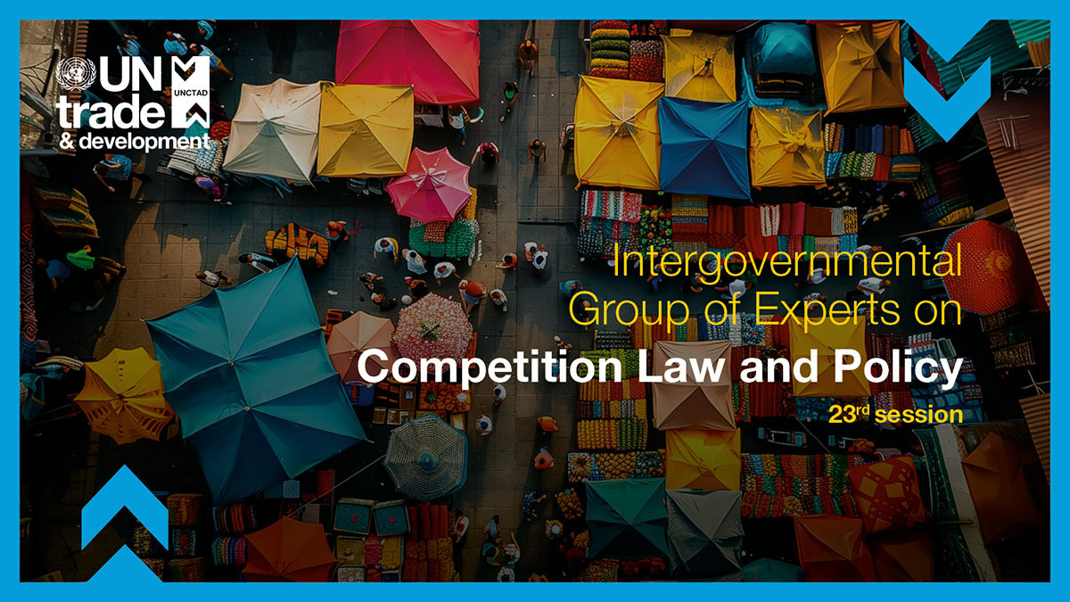 Intergovernmental Group of Experts on Competition Law and Policy, 23rd session