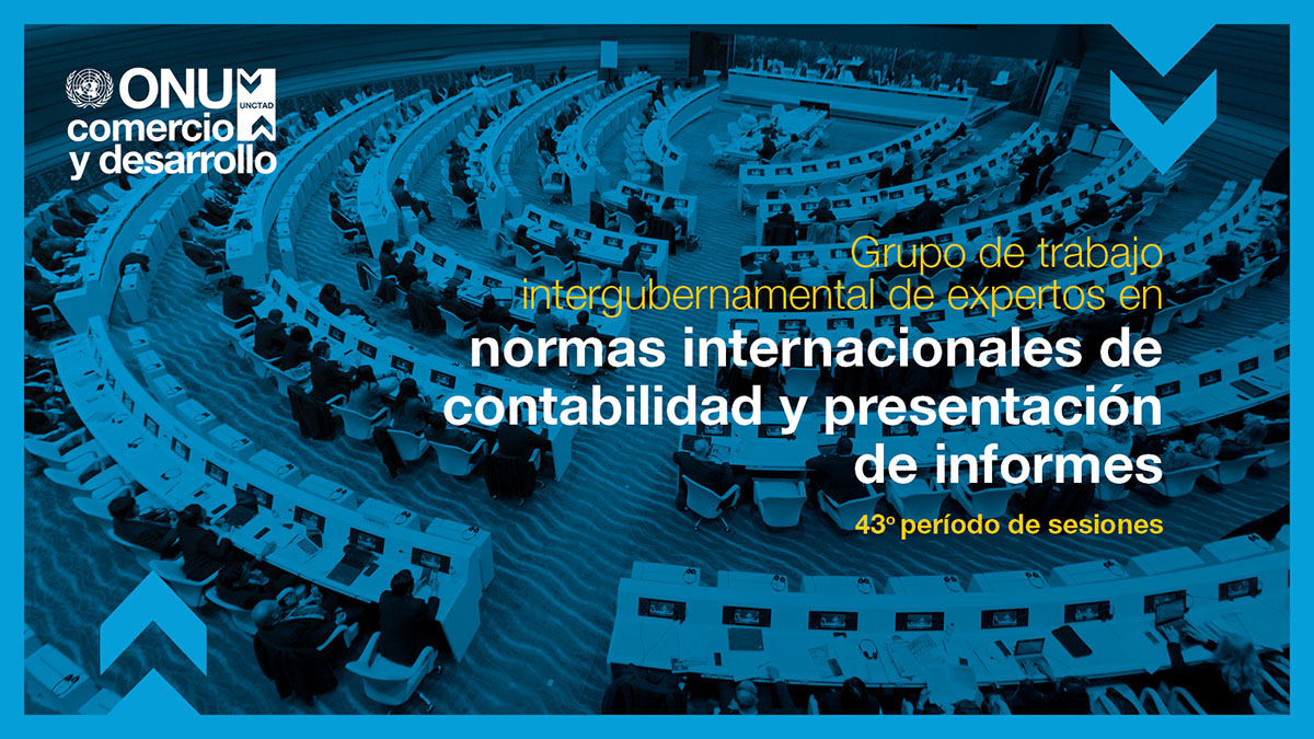 Intergovernmental working group of experts on international standards of accounting and reporting, 43rd session