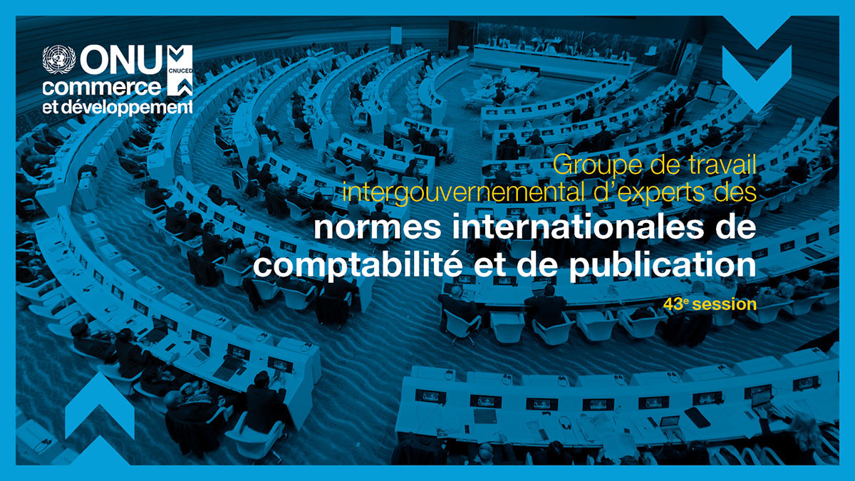 Intergovernmental working group of experts on international standards of accounting and reporting, 43rd session