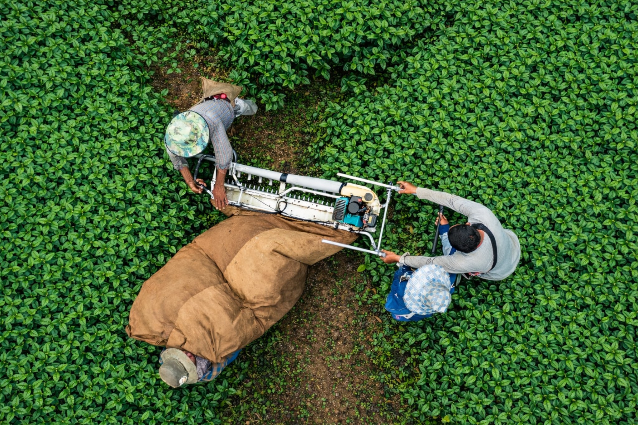 course_picture_trade_and_climate_2nd_ed