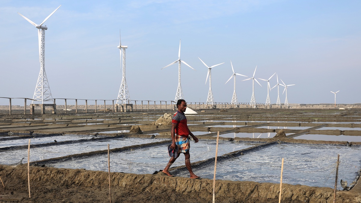 A wind farm in Kutubdia, Bangladesh.