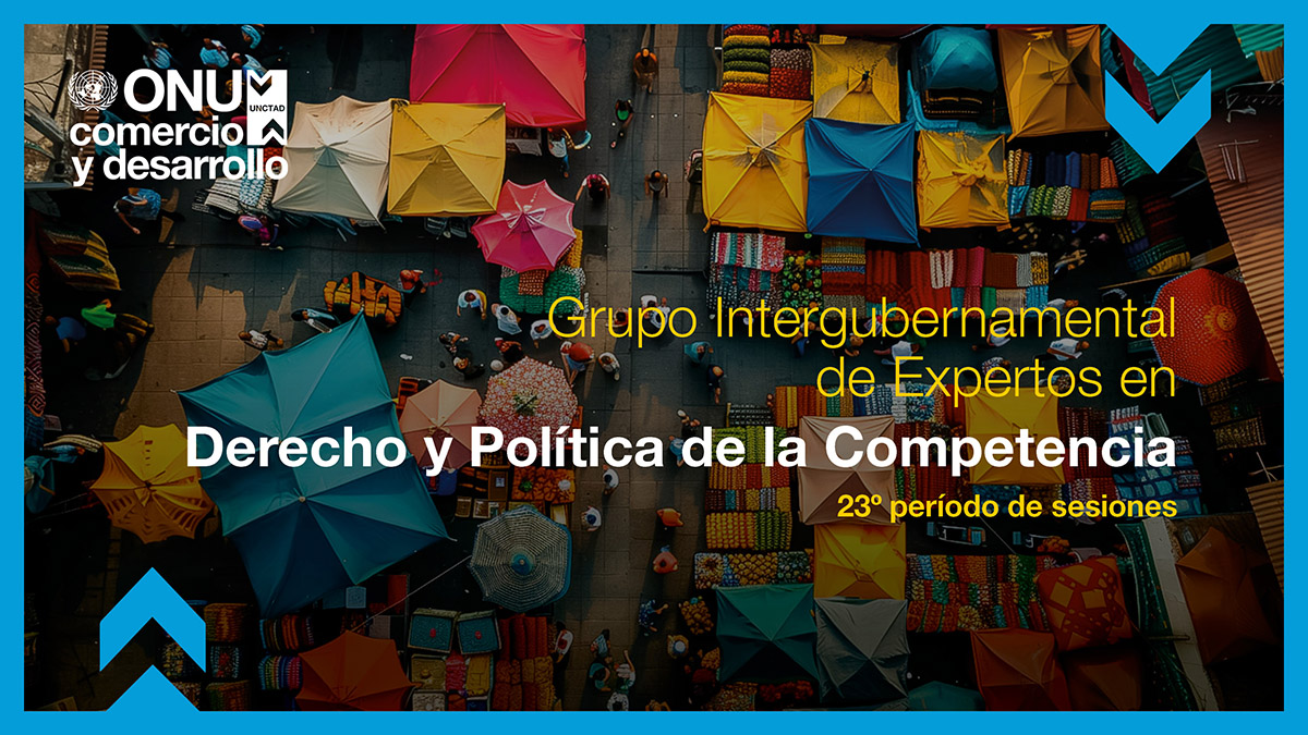 Intergovernmental Group of Experts on Competition Law and Policy, 23rd session