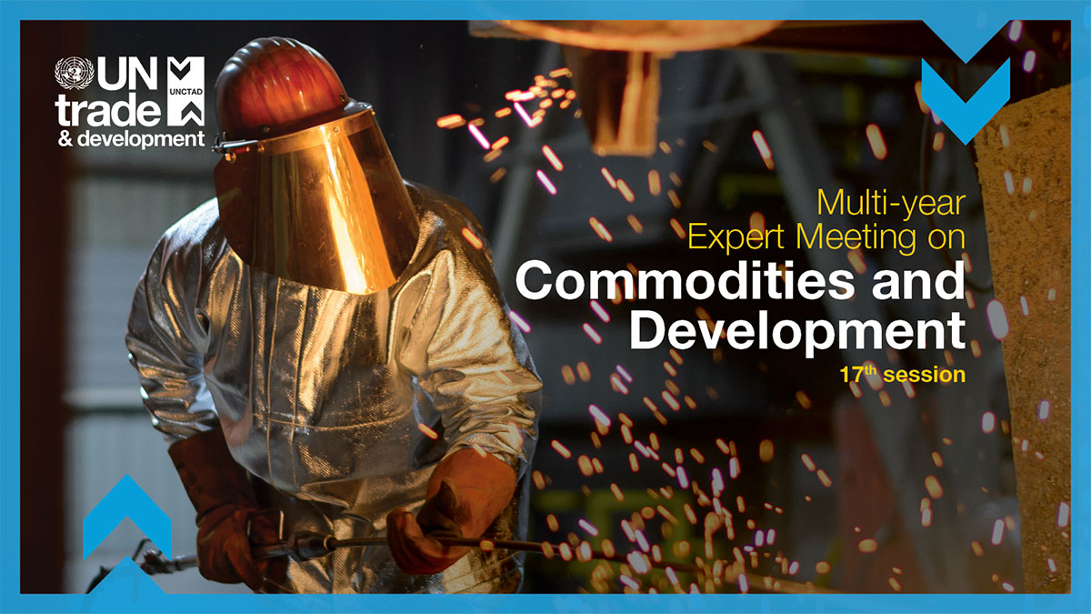 Multi-year Expert Meeting on Commodities and Development, 17th session
