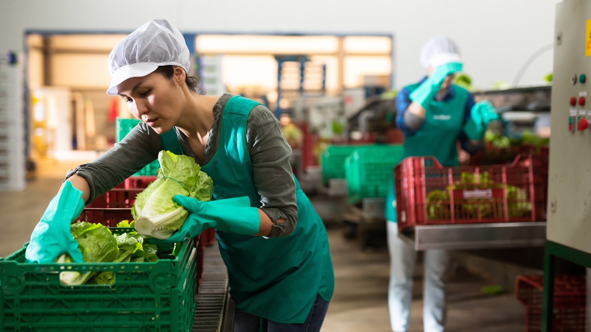 Food processing at a small business.