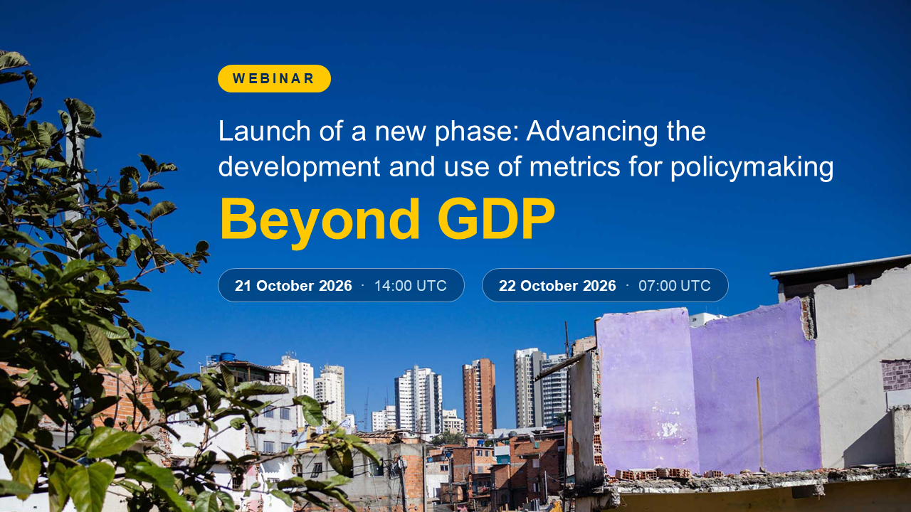 Beyond GDP - UN initiative
