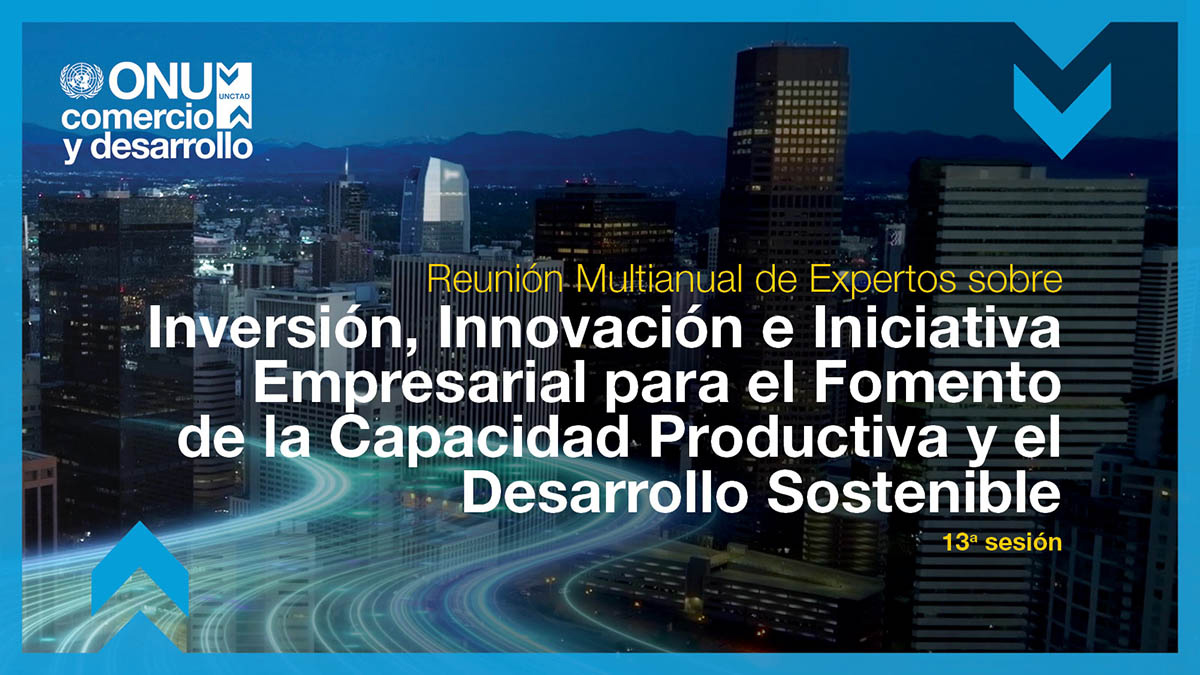 Multi-year expert meeting on investment, innovation and entrepreneurship for productive capacity-building and sustainable development, 13th session