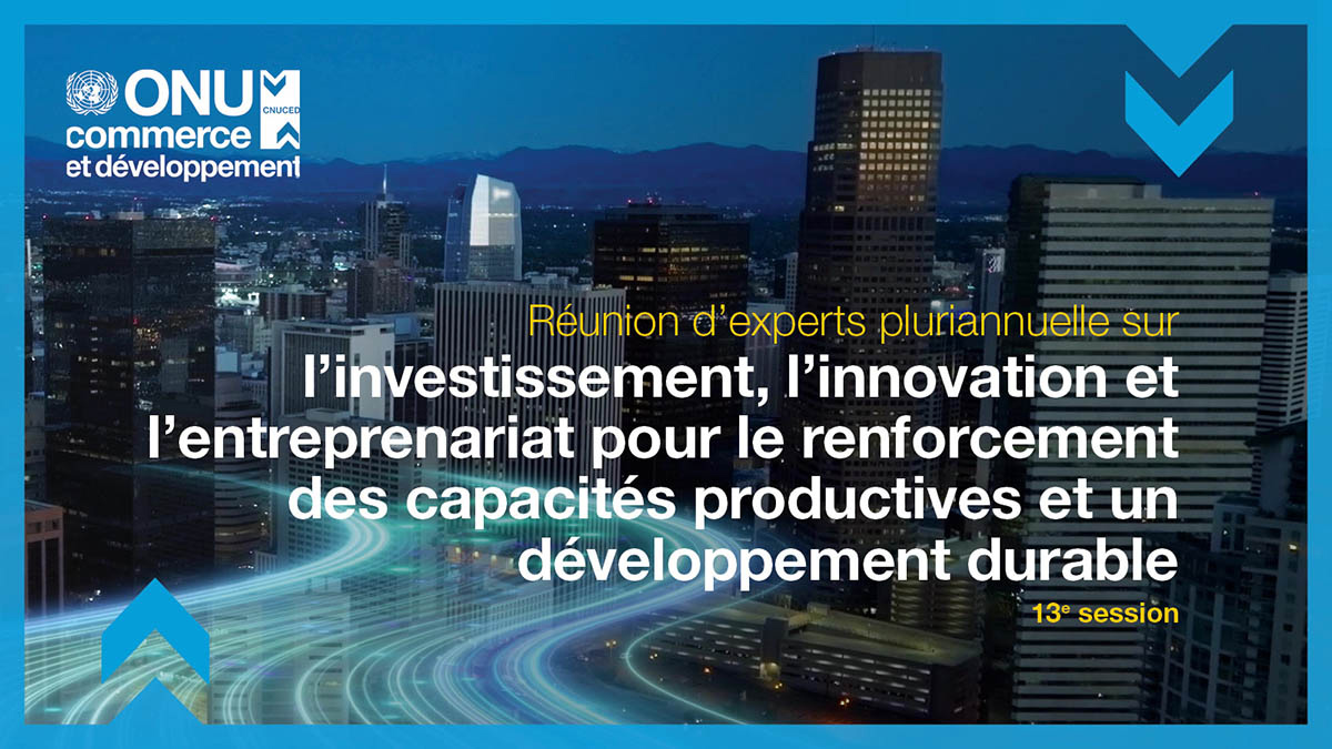 Multi-year expert meeting on investment, innovation and entrepreneurship for productive capacity-building and sustainable development, 13th session
