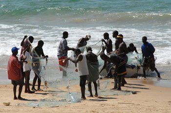 Fishing in comoros