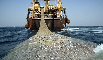 Overfishing