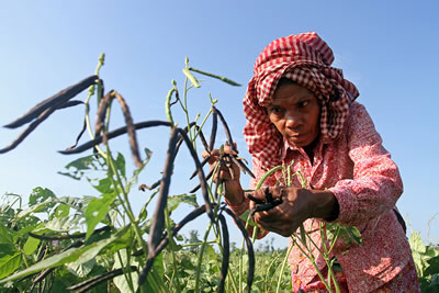 Productive capacities of LDCs