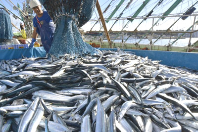 fisheries subsidies