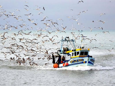 Fishing boat