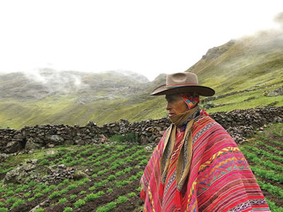 BioTrade in Peru
