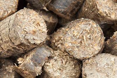 briquettes