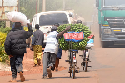 Trade Logistics