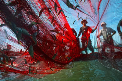 save our oceans and seas