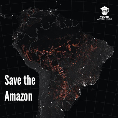 Fires in the Amazon