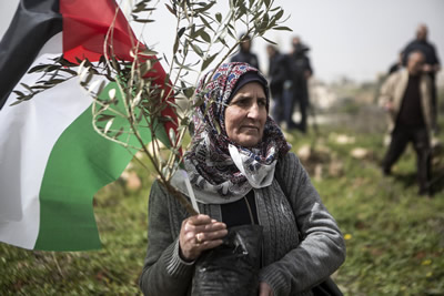 https://unctad.org/sites/default/files/inline-images/2019-09-10_Palestine02_400x267.jpg