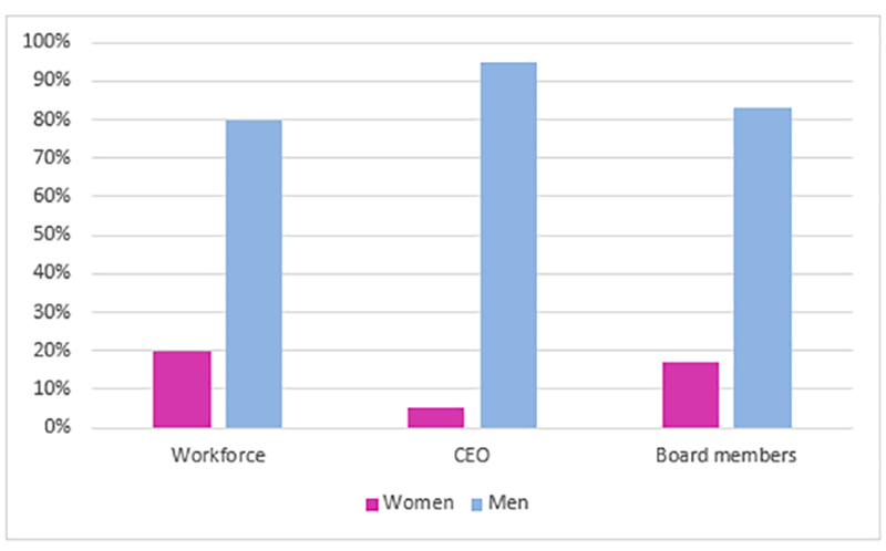 Figure 1: Representation of women, as share of the workforce