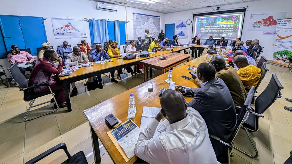 Participants from the government, private sector and development partners