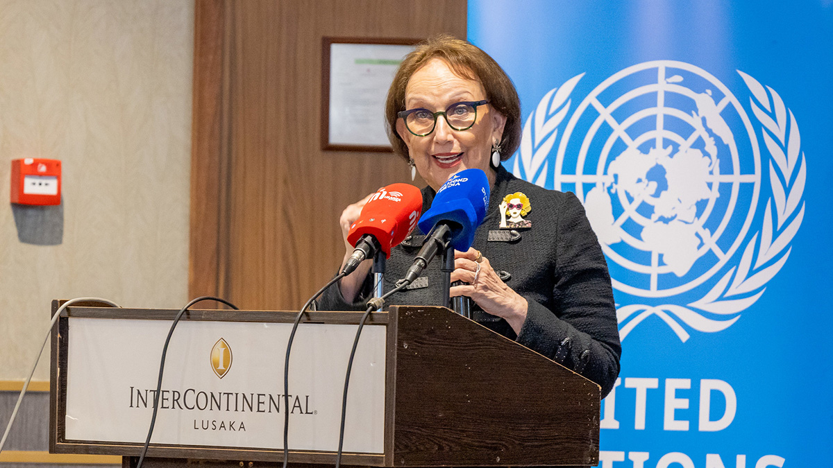 Presentation of the rapid assessment of Zambia, 17 February 2026