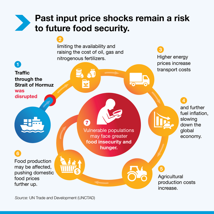 Diagramme de flux circulaire intitulé « Les chocs antérieurs sur les prix des intrants demeurent un risque pour la sécurité alimentaire future », illustrant un cycle en sept étapes : (1) le trafic dans le détroit d’Hormuz a été perturbé, (2) limitant la disponibilité et augmentant les coûts du pétrole, du gaz et des engrais azotés, (3) la hausse des prix de l’énergie accroît les coûts de transport, (4) alimentant davantage l’inflation et ralentissant l’économie mondiale, (5) les coûts de production agricole augmentent, (6) la production alimentaire peut être affectée, entraînant une hausse des prix alimentaires intérieurs, et (7) les populations vulnérables peuvent être confrontées à une plus grande insécurité alimentaire et à la faim.