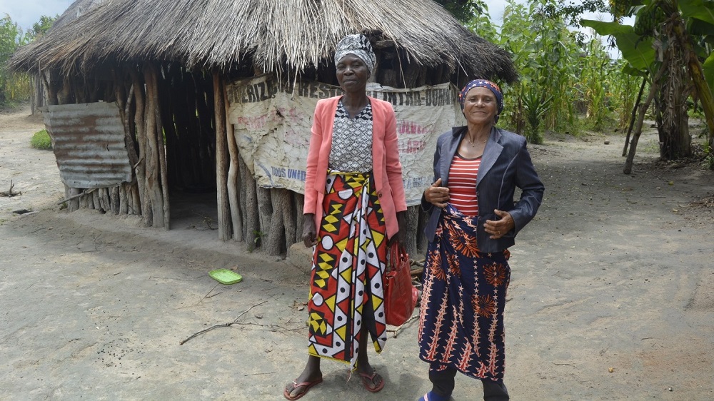 A traditional beehive in Bailundo, Angola.