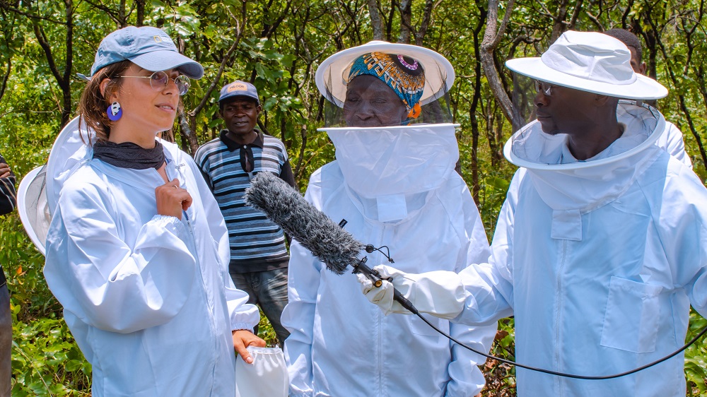 A traditional beehive in Bailundo, Angola.