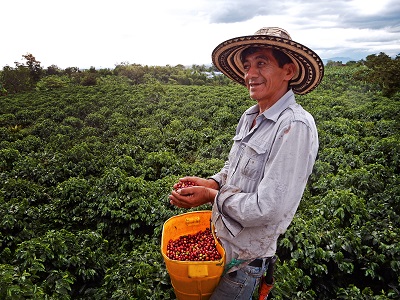 coffee farmer