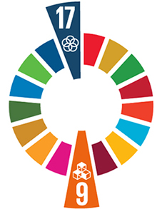 SDG Wheel