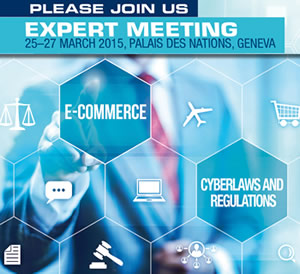 SYEM_Cyberlaws_300x274.jpg