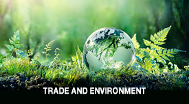 Trade and Environment